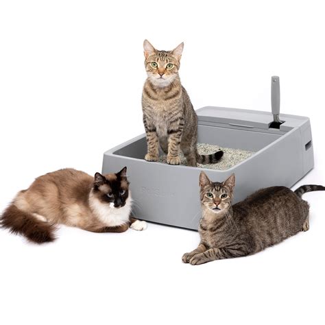 Multi cat litter. Things To Know About Multi cat litter. 